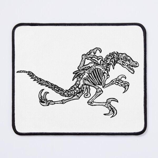 Item preview, Raptor skeleton designed and sold by AderynValentine.