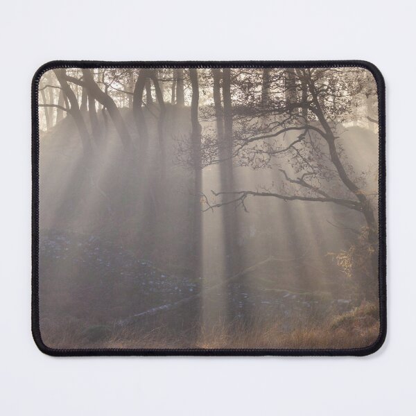 Item preview, Where There's Light - Autumn in the Woods designed and sold by AnitaNicholson.
