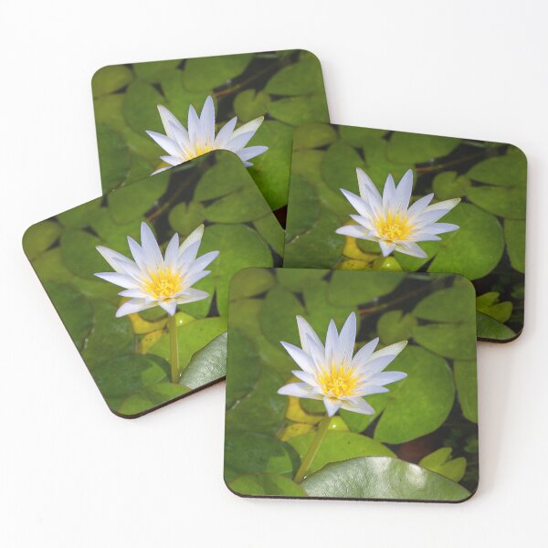 Item preview, Tropical royalblue waterlily, Nymphaea elegans designed and sold by Zosimus.