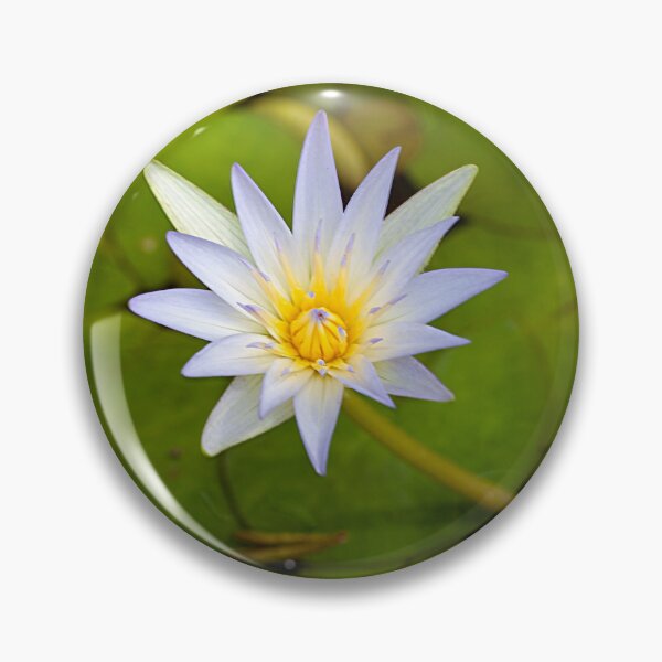 Item preview, Tropical royalblue waterlily, Nymphaea elegans designed and sold by Zosimus.