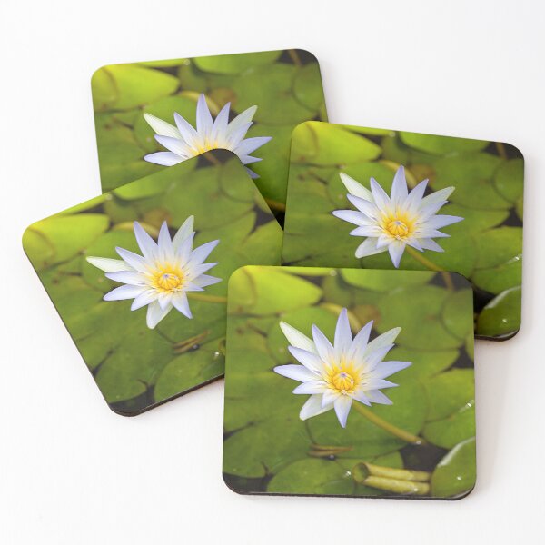 Item preview, Tropical royalblue waterlily, Nymphaea elegans designed and sold by Zosimus.