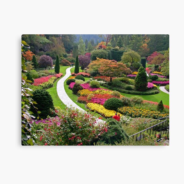 "Butchart Gardens VICTORIA BC in the FALL....." by AnnDixon Redbubble