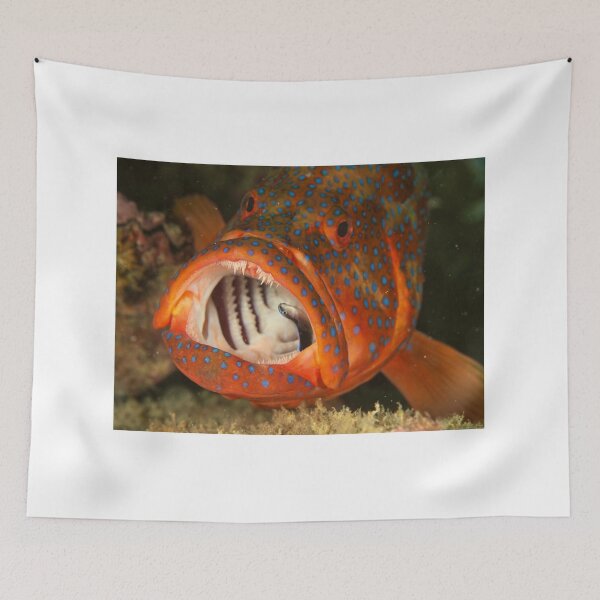 Item preview, Coral Trout designed and sold by Phillip Hawley.