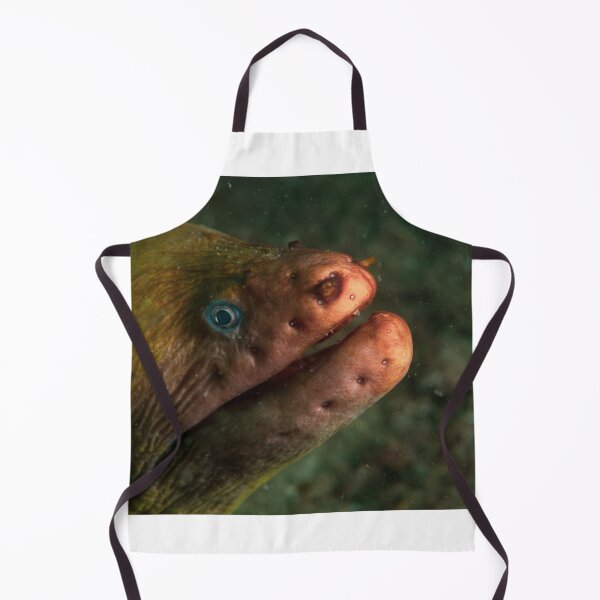 Item preview, Moray Eel designed and sold by Phillip Hawley.
