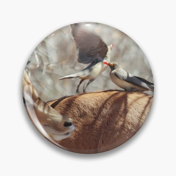 Item preview, Red-billed oxpeckers on an Impala designed and sold by Harlekyn.