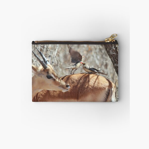 Item preview, Red-billed oxpeckers on an Impala designed and sold by Harlekyn.