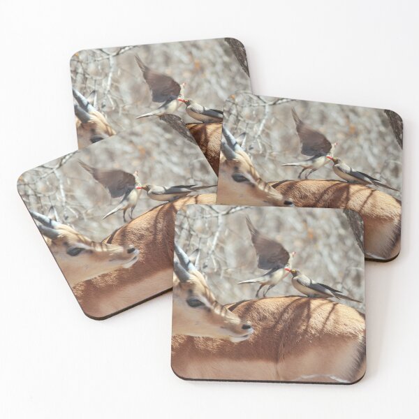 Item preview, Red-billed oxpeckers on an Impala designed and sold by Harlekyn.