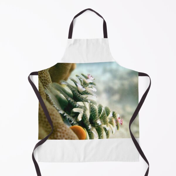 Item preview, Christmas Tree Worms designed and sold by Phillip Hawley.