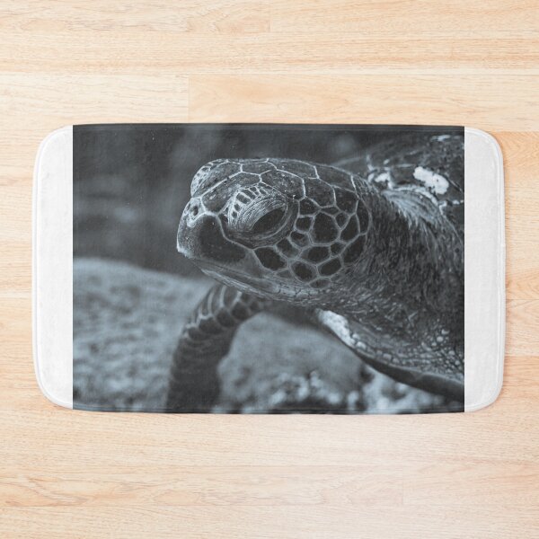 Item preview, Turtle designed and sold by Phillip Hawley.