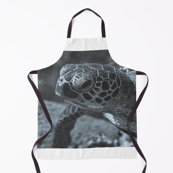 Item preview, Turtle designed and sold by Phillip Hawley.