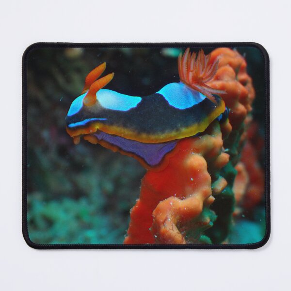 Item preview, Nudibranch WA Australia designed and sold by Phillip Hawley.