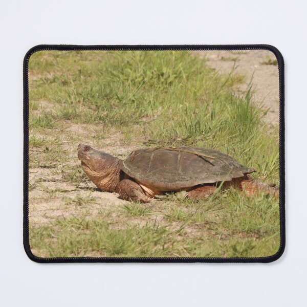Item preview, An Old Snapping Turtle Surveying the Surroundings designed and sold by Judy Geller.