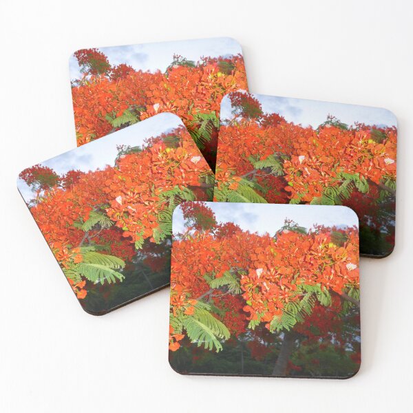 Item preview, Tropical Elegance: Poinciana Tree Photo Artwork designed and sold by HFGjewels.