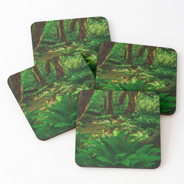 Item preview, Ferns in the Forest designed and sold by Brian Kerls Photography.