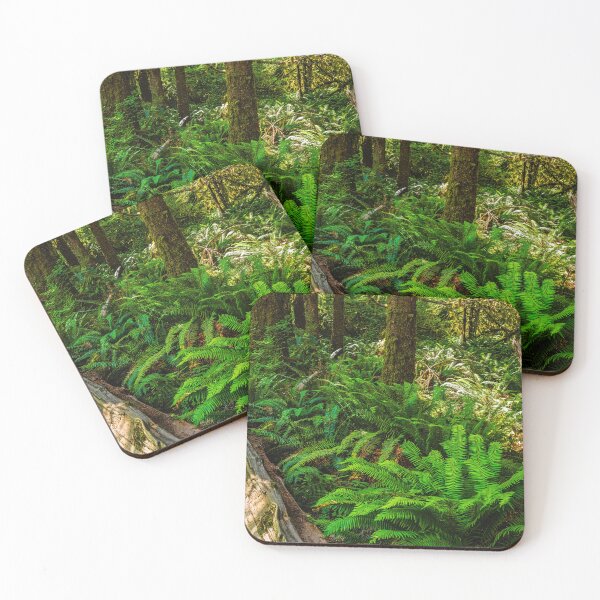 Item preview, Carpet of Sword Ferns designed and sold by Brian Kerls Photography.
