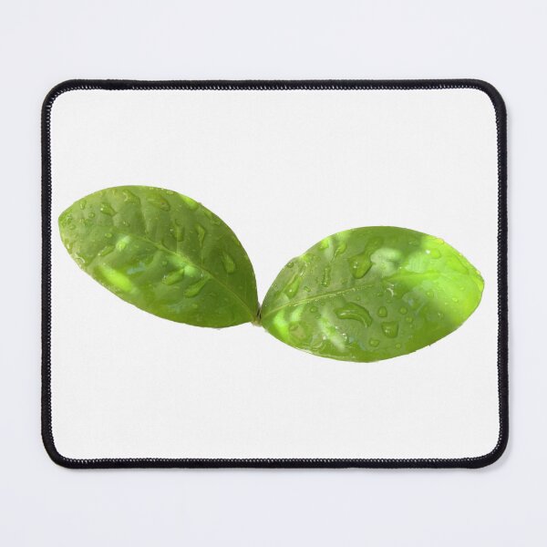 Item preview, Green couple of leaves, fresh of nature growth of the earth designed and sold by pipikijung.
