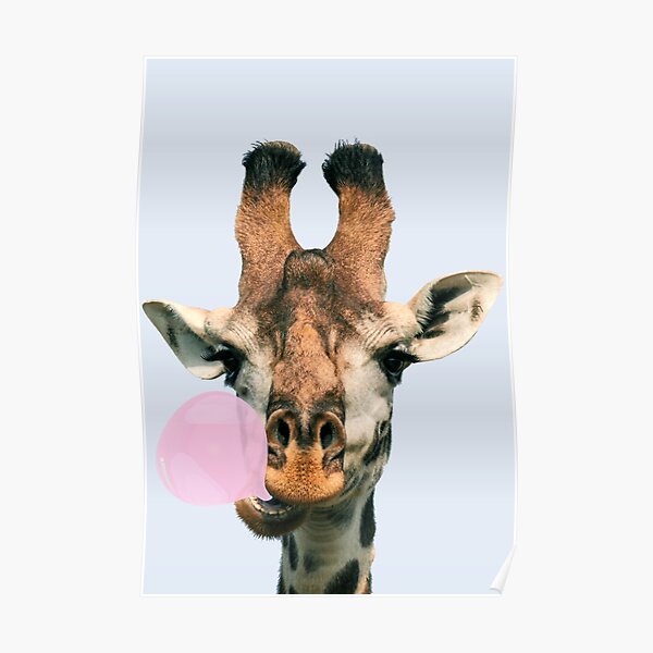 Giraffe Posters Redbubble