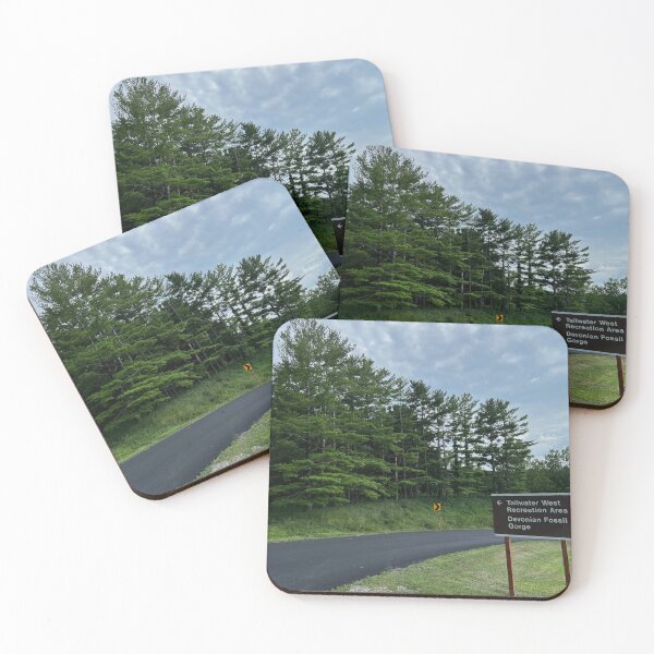 Item preview, Devonian Fossil Gorge 2 designed and sold by QCPhotography.