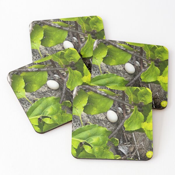 Item preview, Devonian Fossil Gorge 3 designed and sold by QCPhotography.
