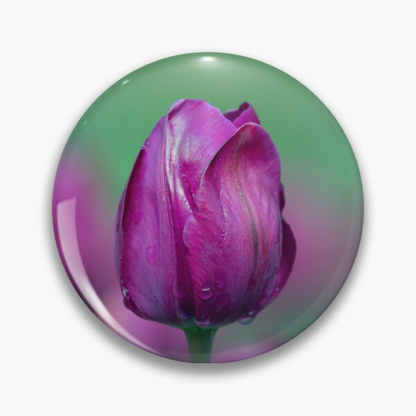 Item preview, Tulip with water droplets.  designed and sold by DaveBassett.