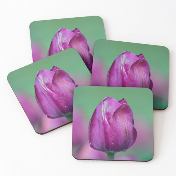 Item preview, Tulip with water droplets.  designed and sold by DaveBassett.