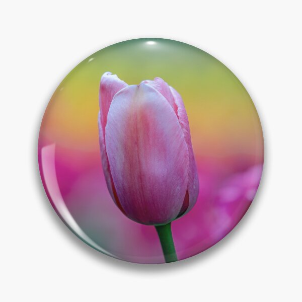 Item preview, Tulip with a background of muted tones.  designed and sold by DaveBassett.