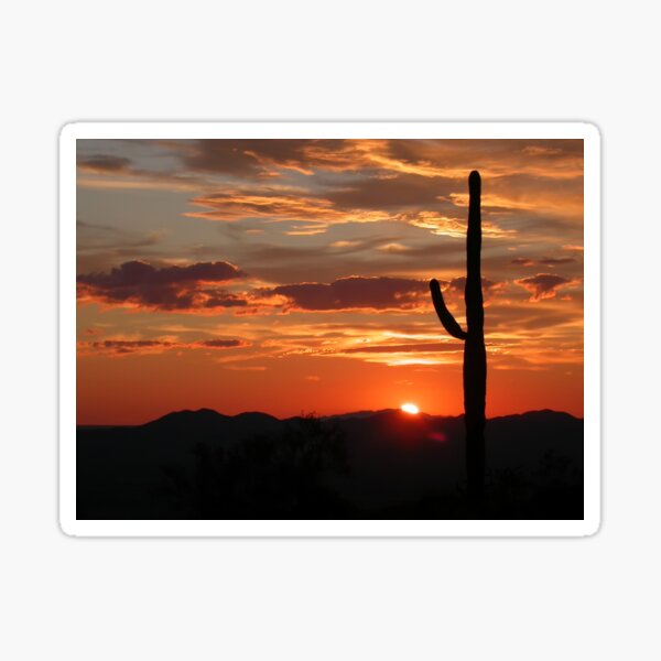 Artikel-Vorschau von Roter Saguaro-Kaktus-Sonnenuntergang in der Wüste, designt und verkauft von WanderQuestCo.
