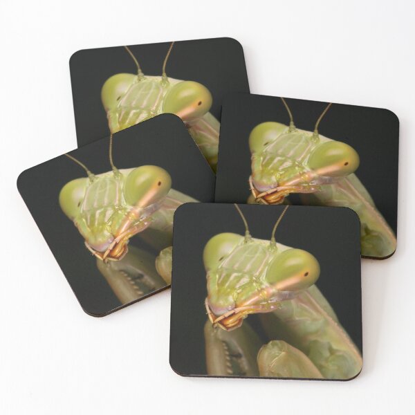 Item preview, Giant Asian Mantis designed and sold by itchydogimages.