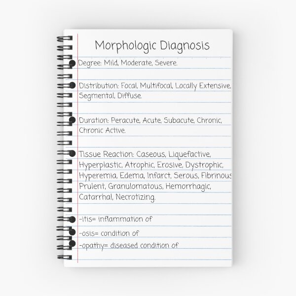 Item preview, Veterinary Morphologic Diagnosis  designed and sold by introVETed.