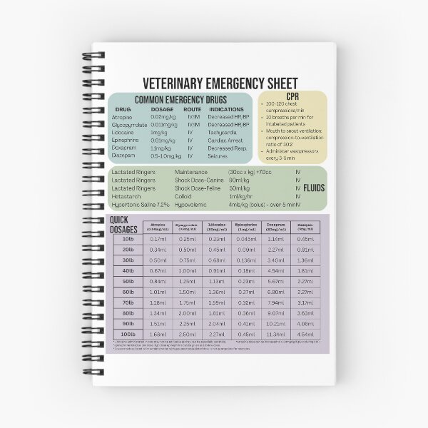 Item preview, Veterinary Emergency Drug Sheet  designed and sold by introVETed.