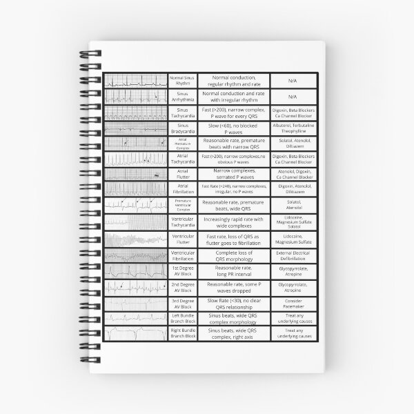 Item preview, Small Animal ECG Chart  designed and sold by introVETed.