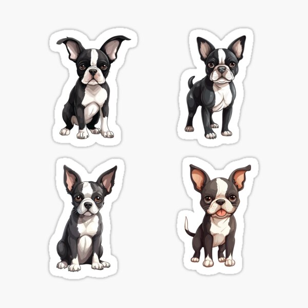 Boston Terrier Puppy Merch Gifts for Sale Redbubble