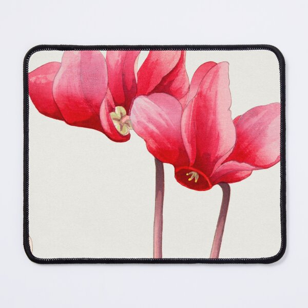 Item preview, Couple of Cyclamen designed and sold by VintageArtByIda.