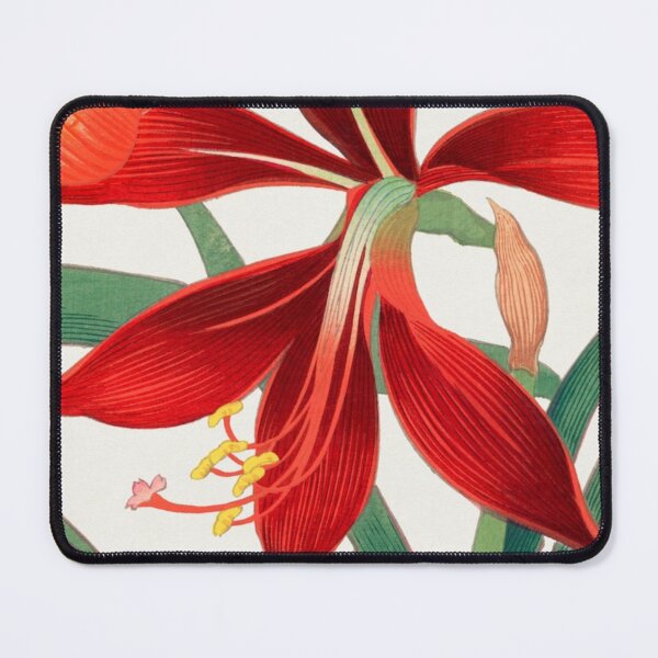 Item preview, Amaryllis designed and sold by VintageArtByIda.