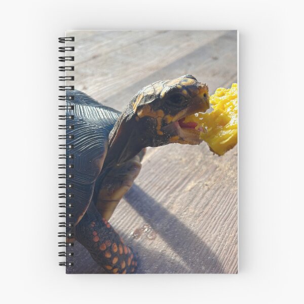 Artikelvorschau, Eine Schildkröte füttern entworfen und verkauft von JulieJubb.