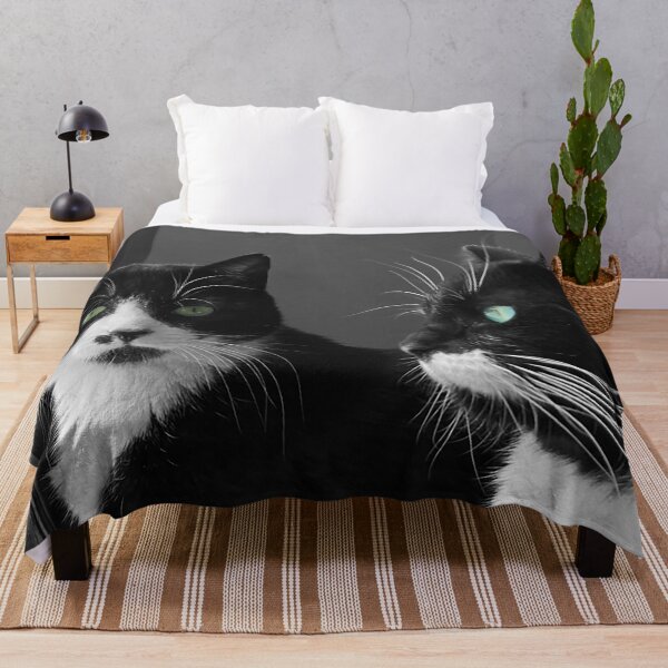 Item preview, Green eyes cats designed and sold by JulieJubb.