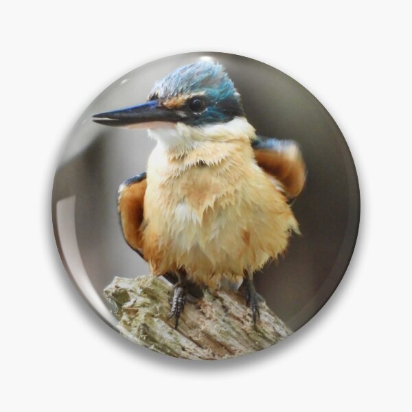 Item preview, Kingfisher just after a swim  designed and sold by Mark Grimsley.