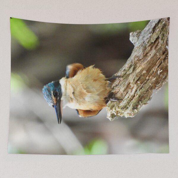Item preview, Kingfisher just after a swim  designed and sold by Mark Grimsley.