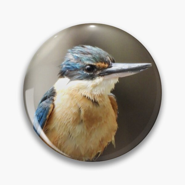 Item preview, Kingfisher drying off designed and sold by Mark Grimsley.