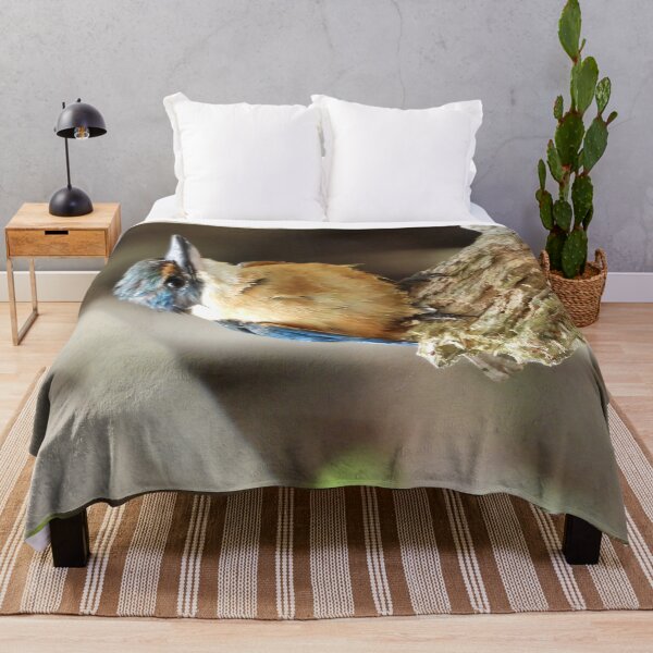 Item preview, Kingfisher drying off designed and sold by Mark Grimsley.