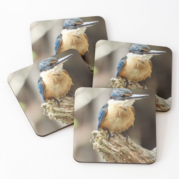 Item preview, Kingfisher drying off designed and sold by Mark Grimsley.