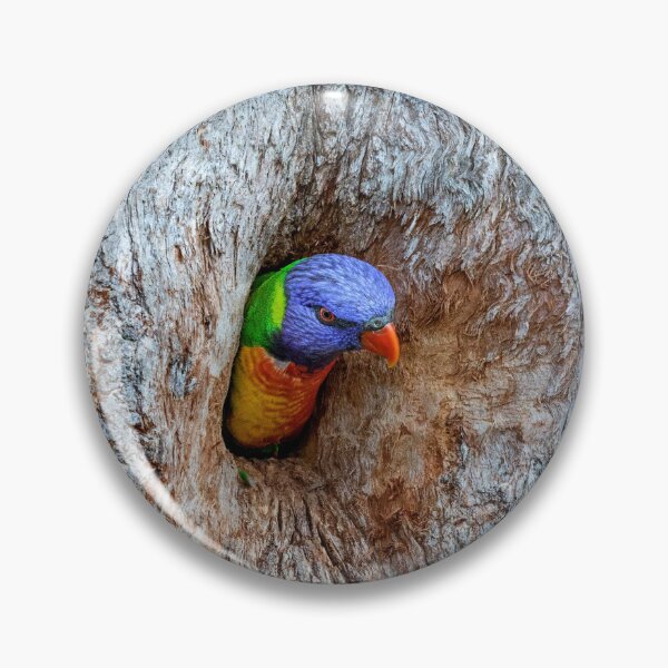Item preview, Rainbow lorikeet on tree hollow.  designed and sold by DaveBassett.