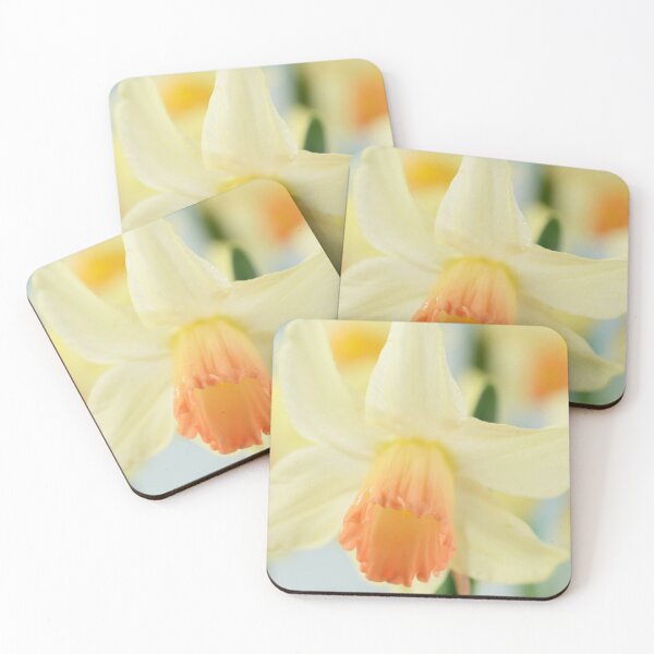 Item preview, Narcissus  'Prototype'   Division 6 Cyclamineus Daffodil  designed and sold by Chris Burrows.