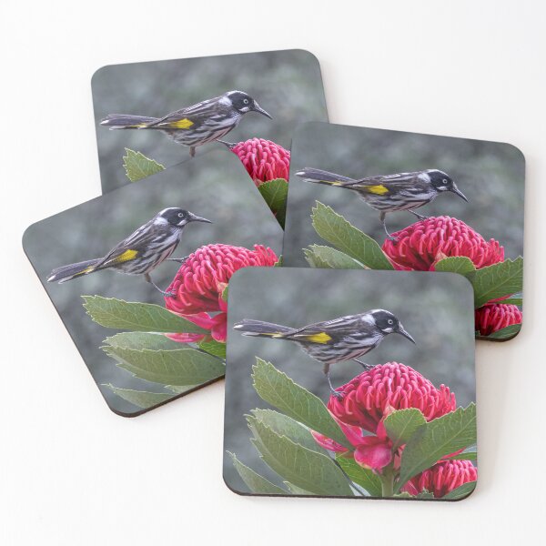 Item preview, Honey eater on waratah.  designed and sold by DaveBassett.