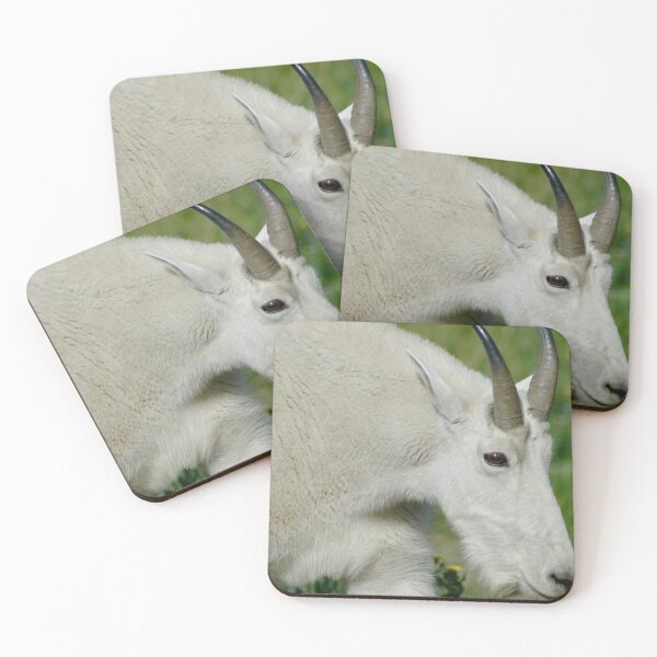 Item preview, Friendly Wild Mountain Goat photograph is perfect for people who love nature and wildlife. Get this design as a gift for yourself, family member or friend who loves wildlife and nature.  designed and sold by jenkcole08.