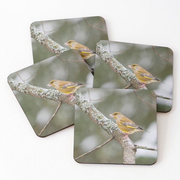 Item preview, Having a mouthfull. European greenfinch designed and sold by Jouko Lehto Photography.