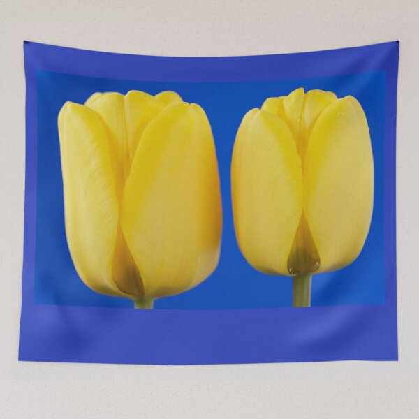 Item preview, Tulipa  'Golden Apeldoorn' Darwin Hybrid Group  Tulip   designed and sold by Chris Burrows.