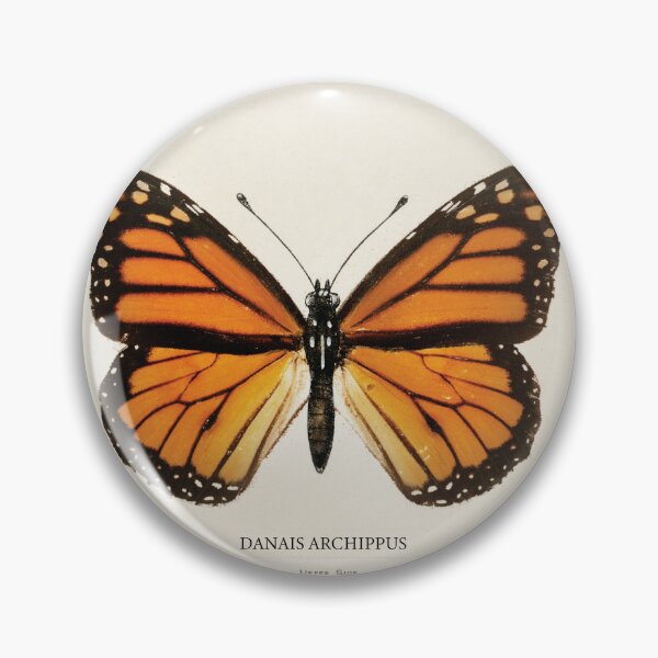 Item preview, Southern Monarch designed and sold by LoveYourCounty.