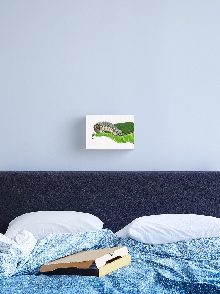 A Smol Hungry Caterpillar Fall Armyworm Canvas Print By