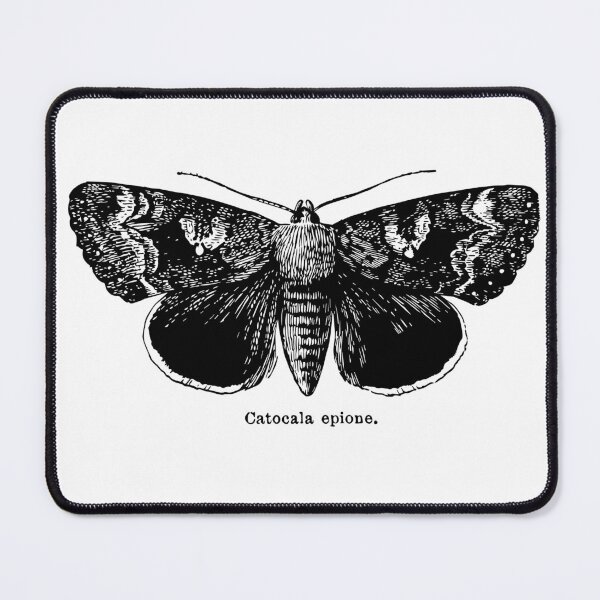 Item preview, Epione Underwing Moth designed and sold by LoveYourCounty.